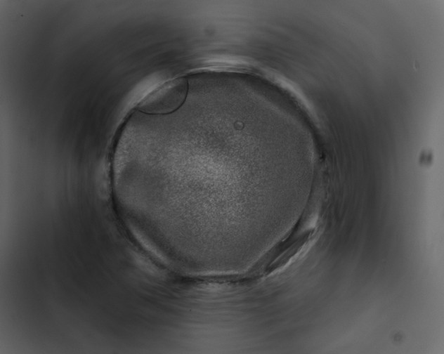 X0000102821362200809021241