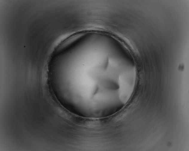 X0000102821363200809021241