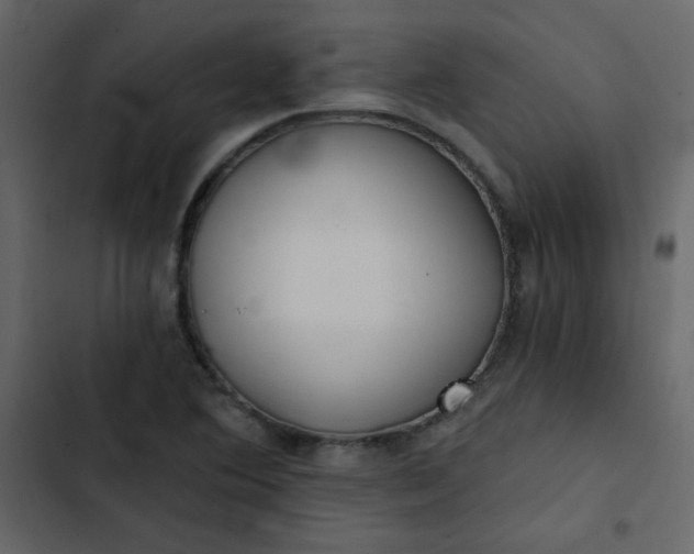 X0000102821364200809021241