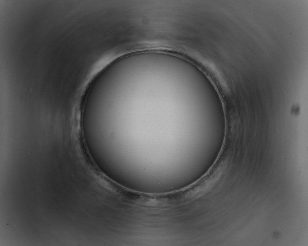 X0000102821365200809021241