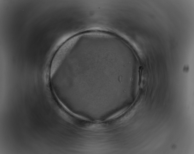X0000102821367200809021241
