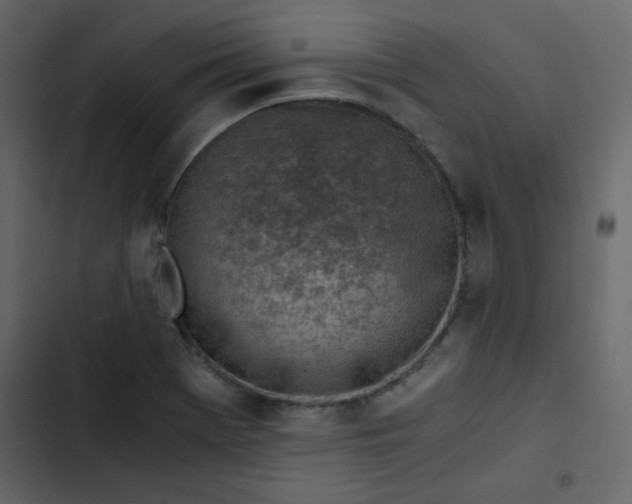 X0000102821369200809021241