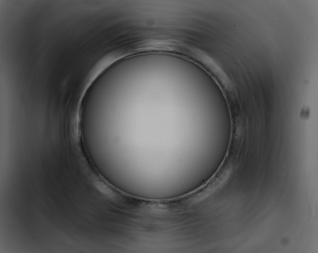 X0000102821370200809021241