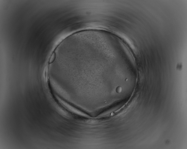 X0000102821371200809021241