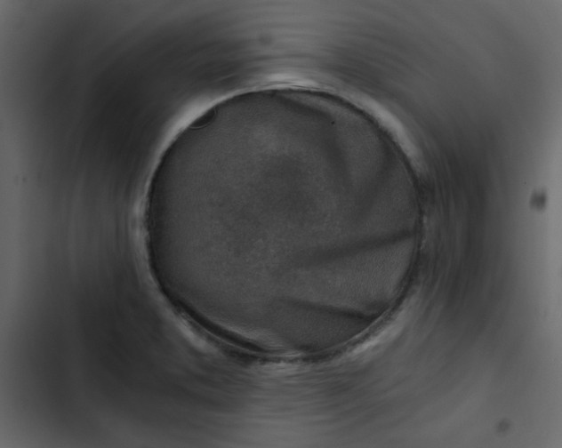 X0000102821373200809021241