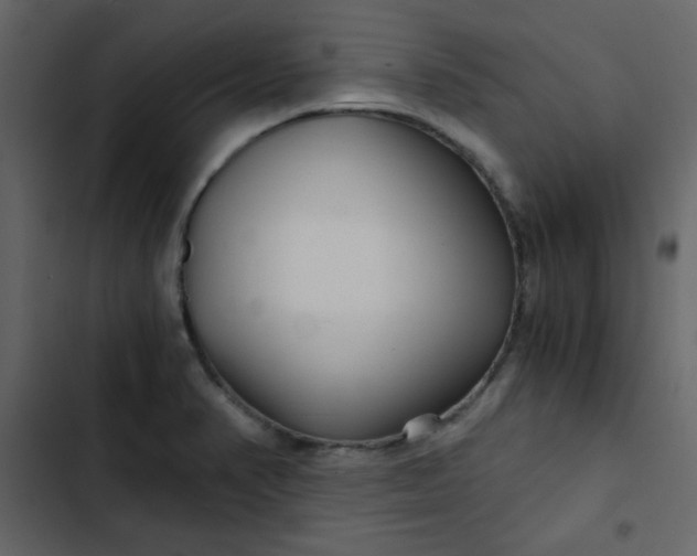 X0000102821374200809021241