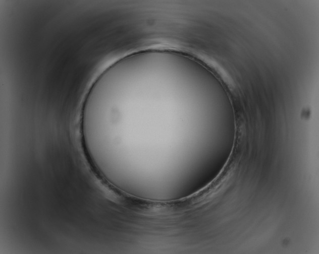 X0000102821375200809021241