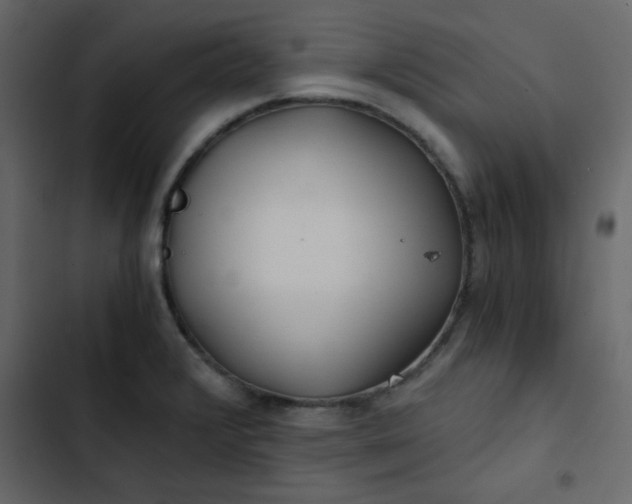 X0000102821376200809021241
