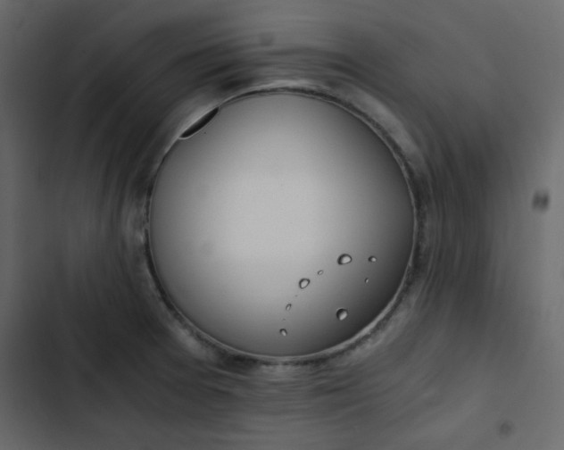 X0000102821377200809021240