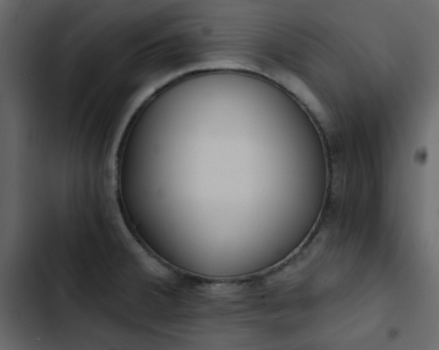 X0000102821380200809021240
