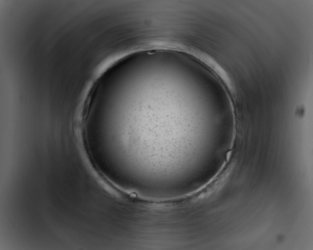 X0000102821381200809021240