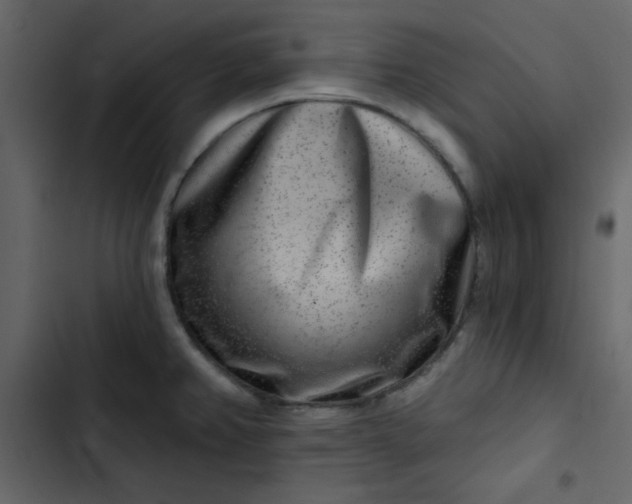 X0000102821382200809021240