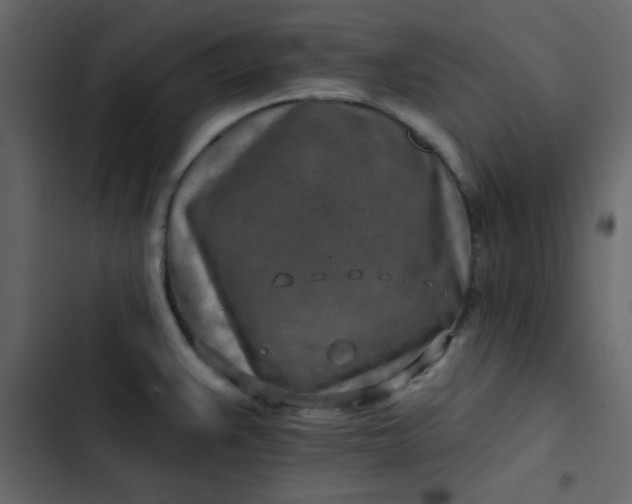X0000102821383200809021240