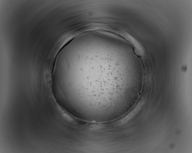 X0000102821385200809021240