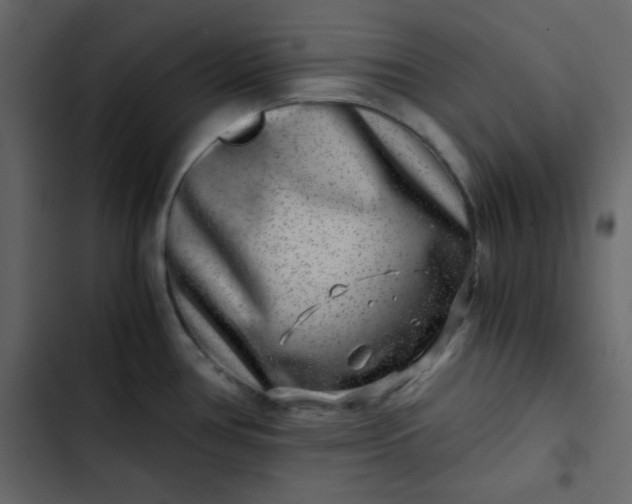 X0000102821386200809021240