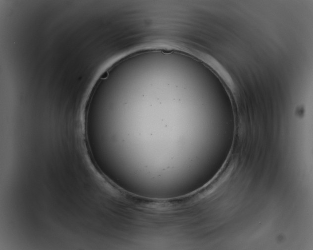 X0000102821388200809021240