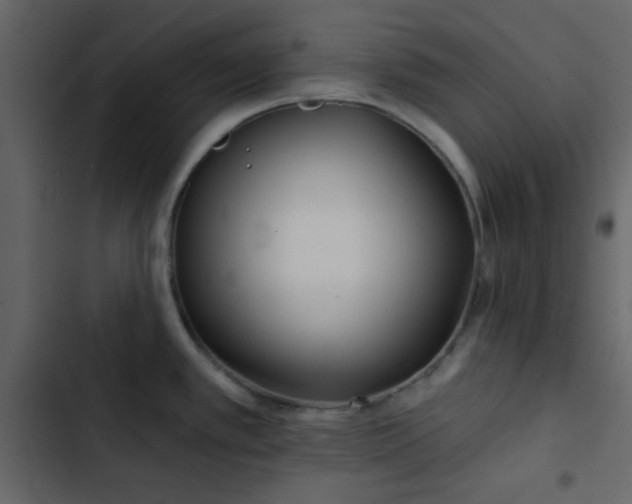 X0000102821389200809021240
