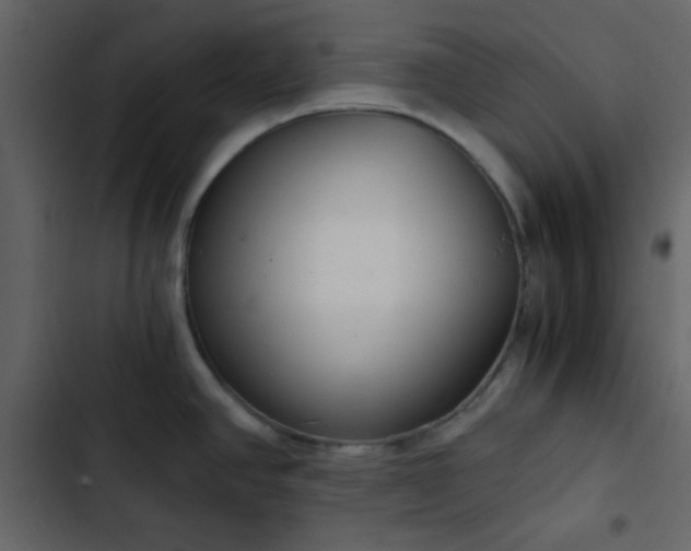 X0000102821390200809021240