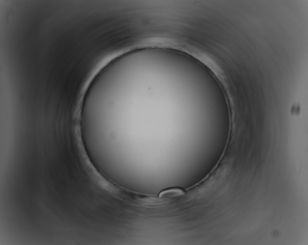 X0000102821392200809021240