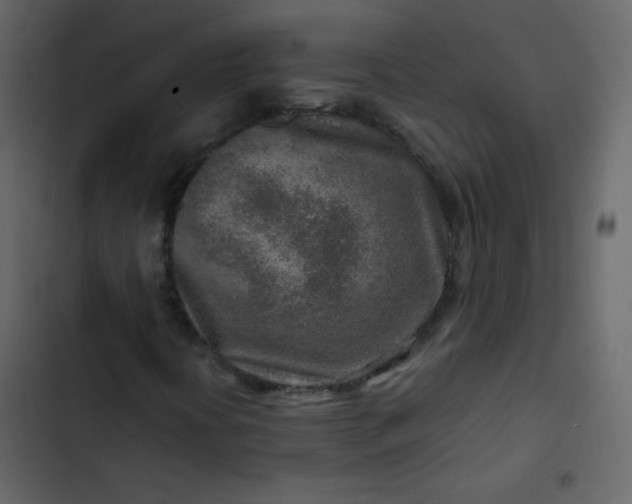 X0000102821394200809021240