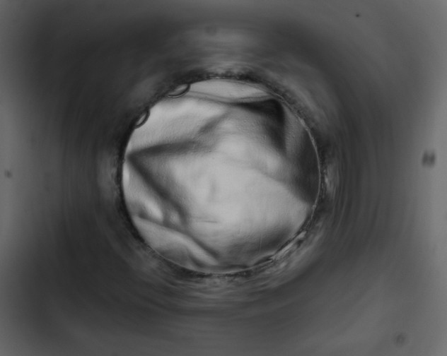 X0000102821396200809021240
