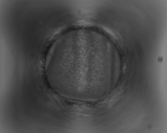 X0000102821397200809021240