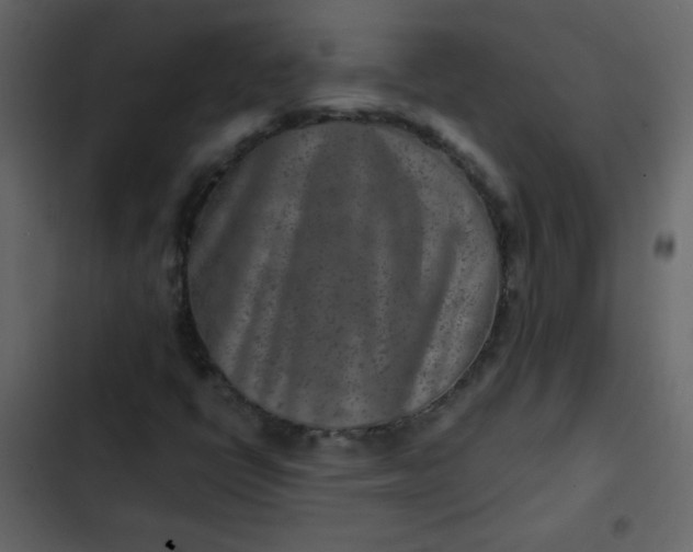 X0000102821398200809021240