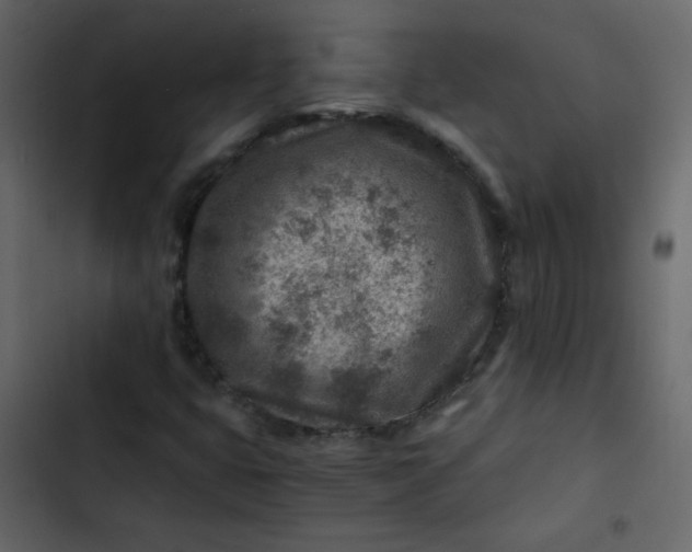 X0000102821399200809021240