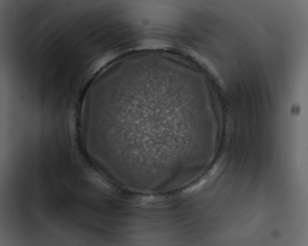 X0000102821401200809021240