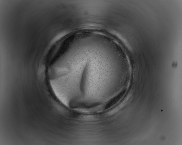 X0000102821402200809021240