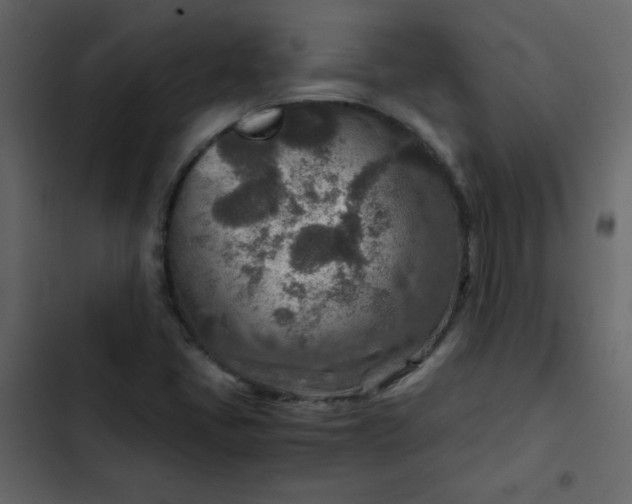 X0000102821405200809021240