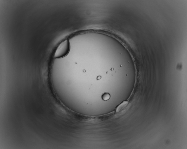 X0000102821406200809021240