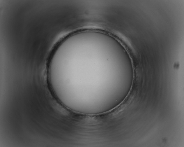 X0000102821408200809021240