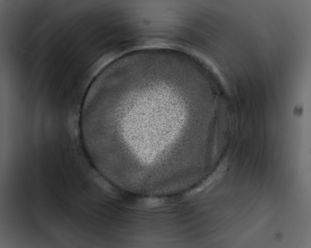 X0000102821409200809021240