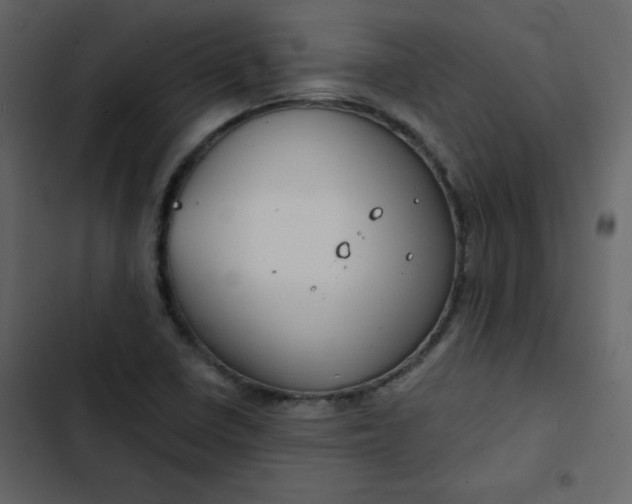 X0000102821410200809021240