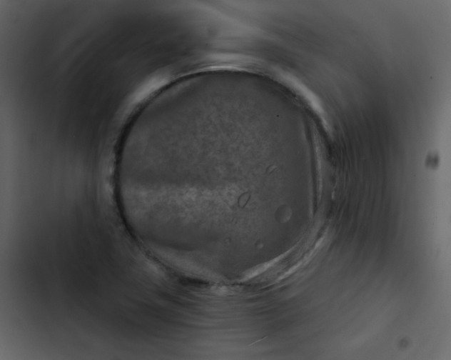 X0000102821411200809021240