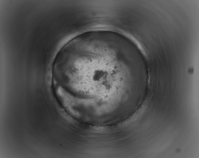 X0000102821413200809021240