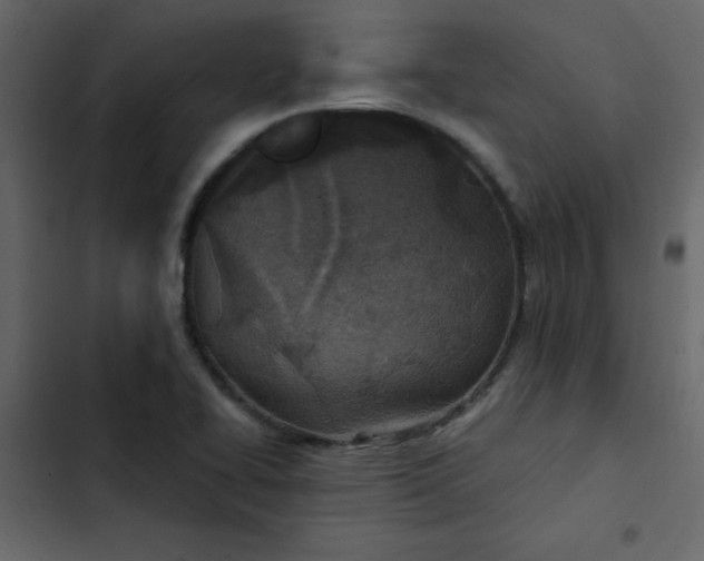 X0000102821414200809021240