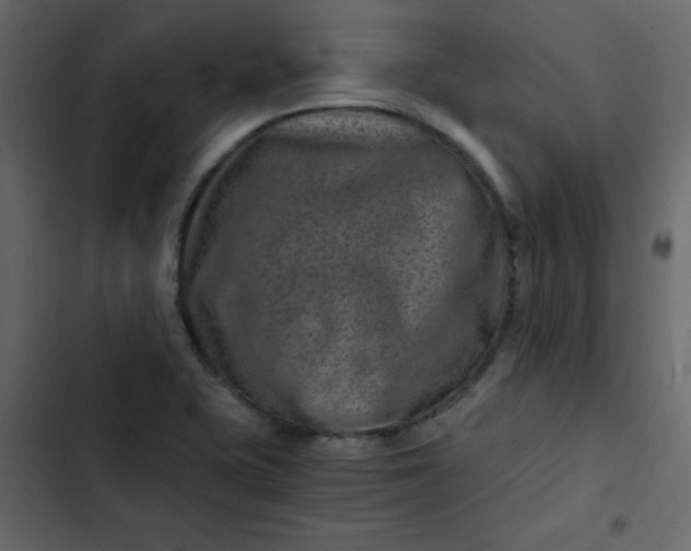X0000102821415200809021240