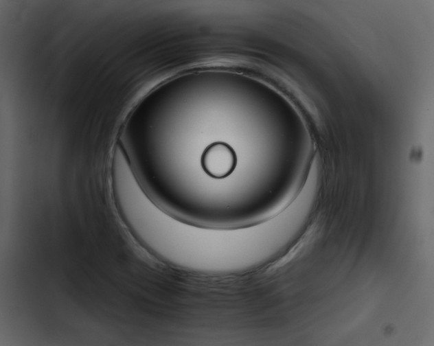 X0000102821417200809021240