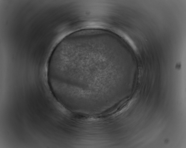 X0000102821419200809021240