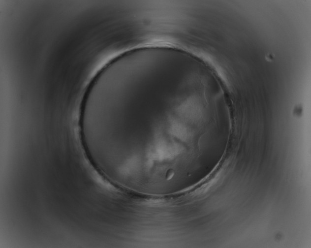 X0000102821422200809021240