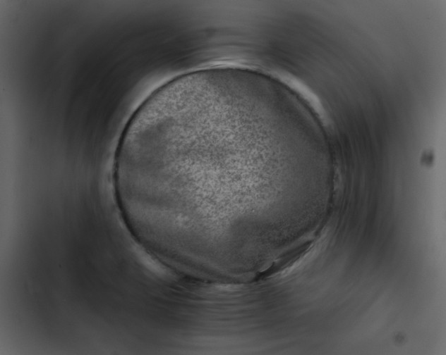 X0000102821423200809021240
