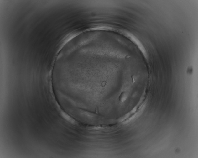 X0000102821425200809021240