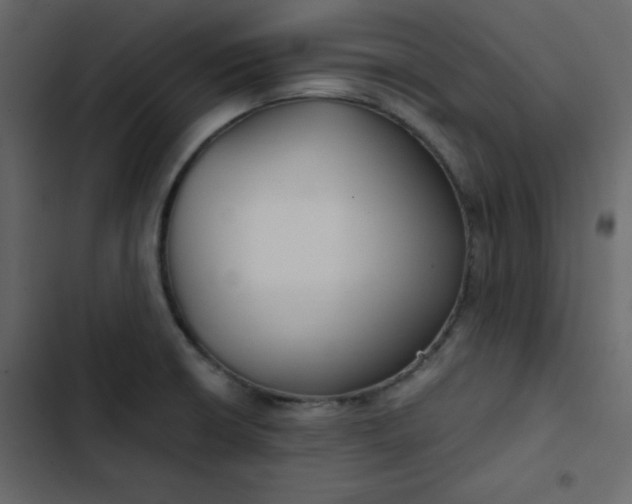 X0000102821426200809021240