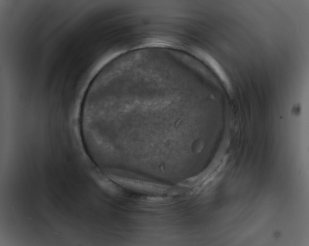 X0000102821427200809021240