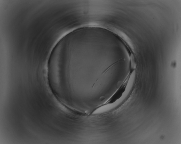 X0000102821428200809021240