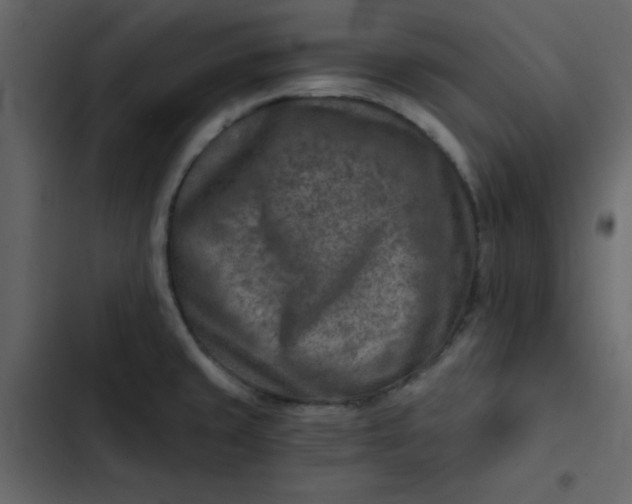 X0000102821429200809021240
