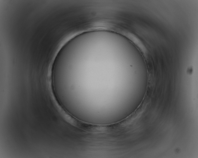 X0000102821431200809021240