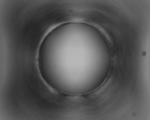 X0000102821432200809021240